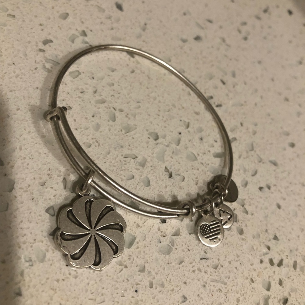 Alex and Ani Eternity Silver Tone Charm Bangle Bracelet Excellent Condition